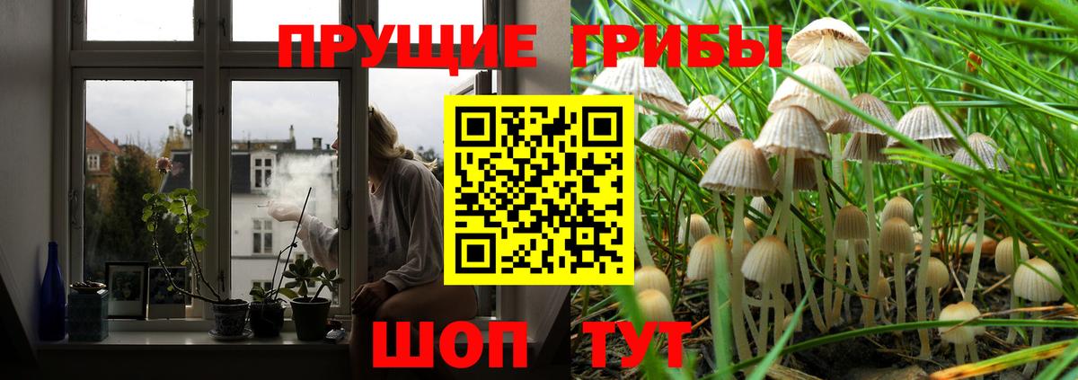Галлюциногенные грибы мухоморы  Вход с VPN  Губкин  Галлюциногенные грибы Psilocybine cubensis 